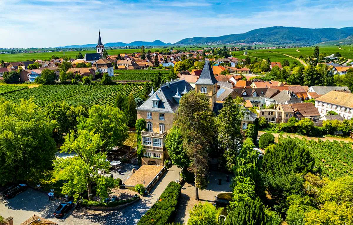 Weinreise Edesheim für 2 (2 Nächte) - 1