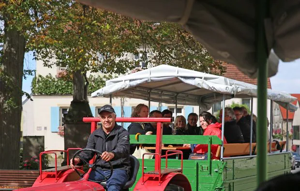 Weinseminar in Zeilitzheim (Rundfahrt & Verkostung) - 4