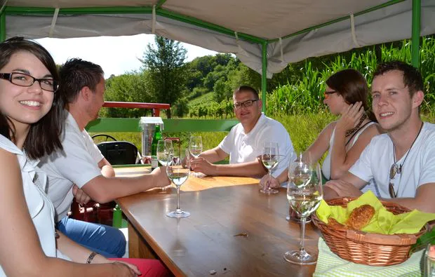 Weinseminar in Zeilitzheim (Rundfahrt & Verkostung) - 5