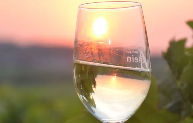 Weinseminar in Zeilitzheim (Rundfahrt & Verkostung) - 3