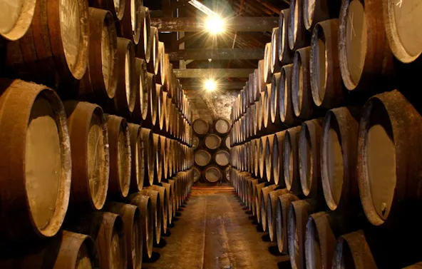 Whisky Käse Tasting Hamburg