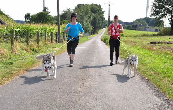 Husky Trekking Goch