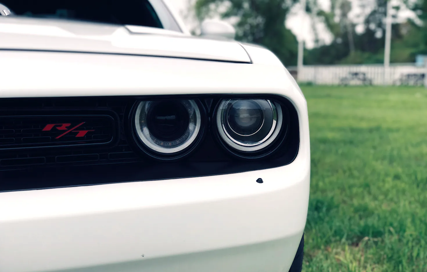 Dodge Challenger mieten Thale (4 Std.) - 4