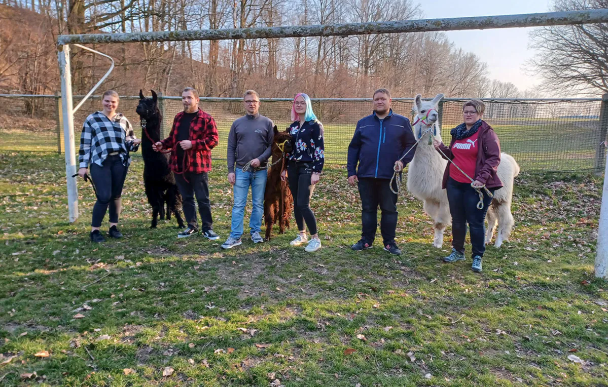 Alpaka Spaziergang Schönau-Berzdorf für 2 - 5