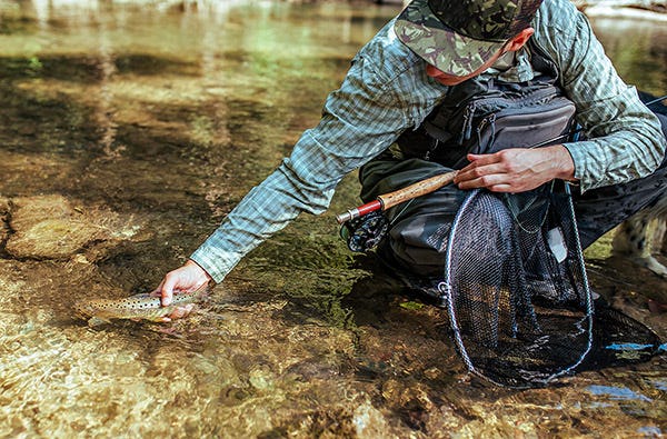 Fliegenfischen im Wettersteingebirge