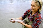 Fliegenfischen im Wettersteingebirge