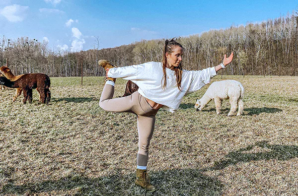 Alpaka Yoga für 2