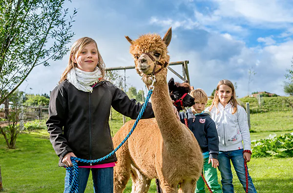 Bauernhof Besuch Bad Großpertholz - 1
