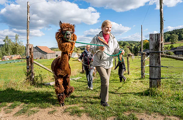 Bauernhof Besuch Bad Großpertholz - 3