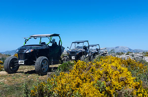 Side by Side Buggy fahren (8 Stunden)
