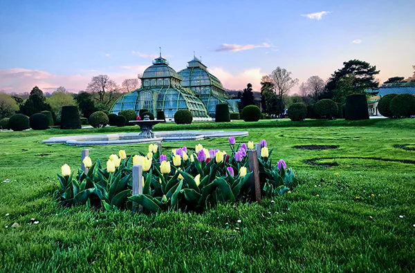Digitale Stadtführung Wien Schönbrunn (1,5 Std.) - 3