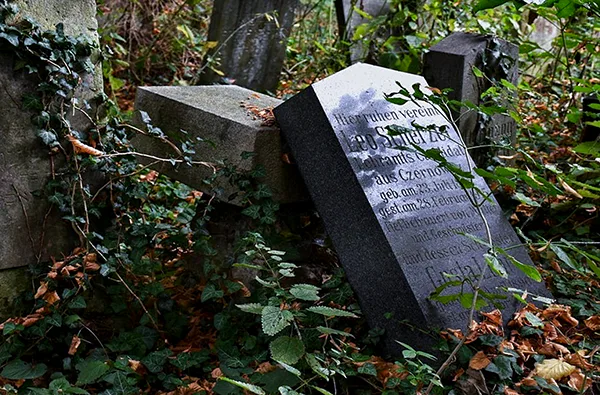 Digitale Stadtführung Zentralfriedhof Wien (2 Std.) - 2