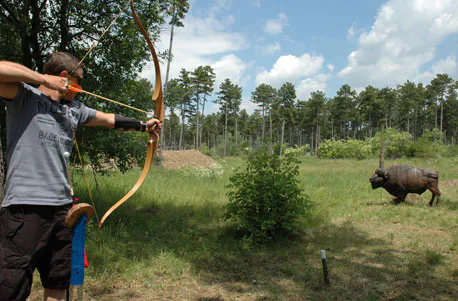 Action-Tag im Outdoorpark bei Wien für 2 - 6