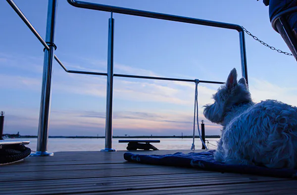 Hausboot mieten für 2 (3 Tage) - 5