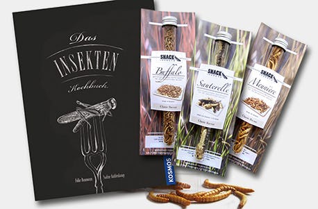 Snack Insects Kochset für Zuhause Österreich