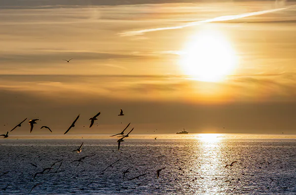 Mondscheinsegeln Kiel (zur Kieler Woche) - 3