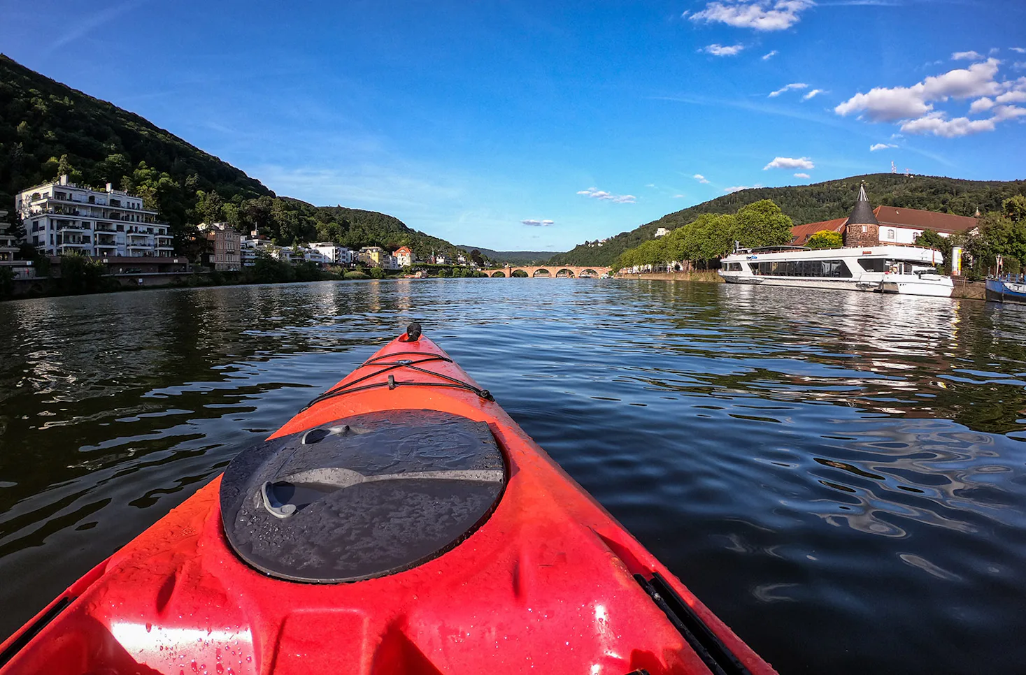 Paddle Tour Heidelberg (2 Std.) - 2