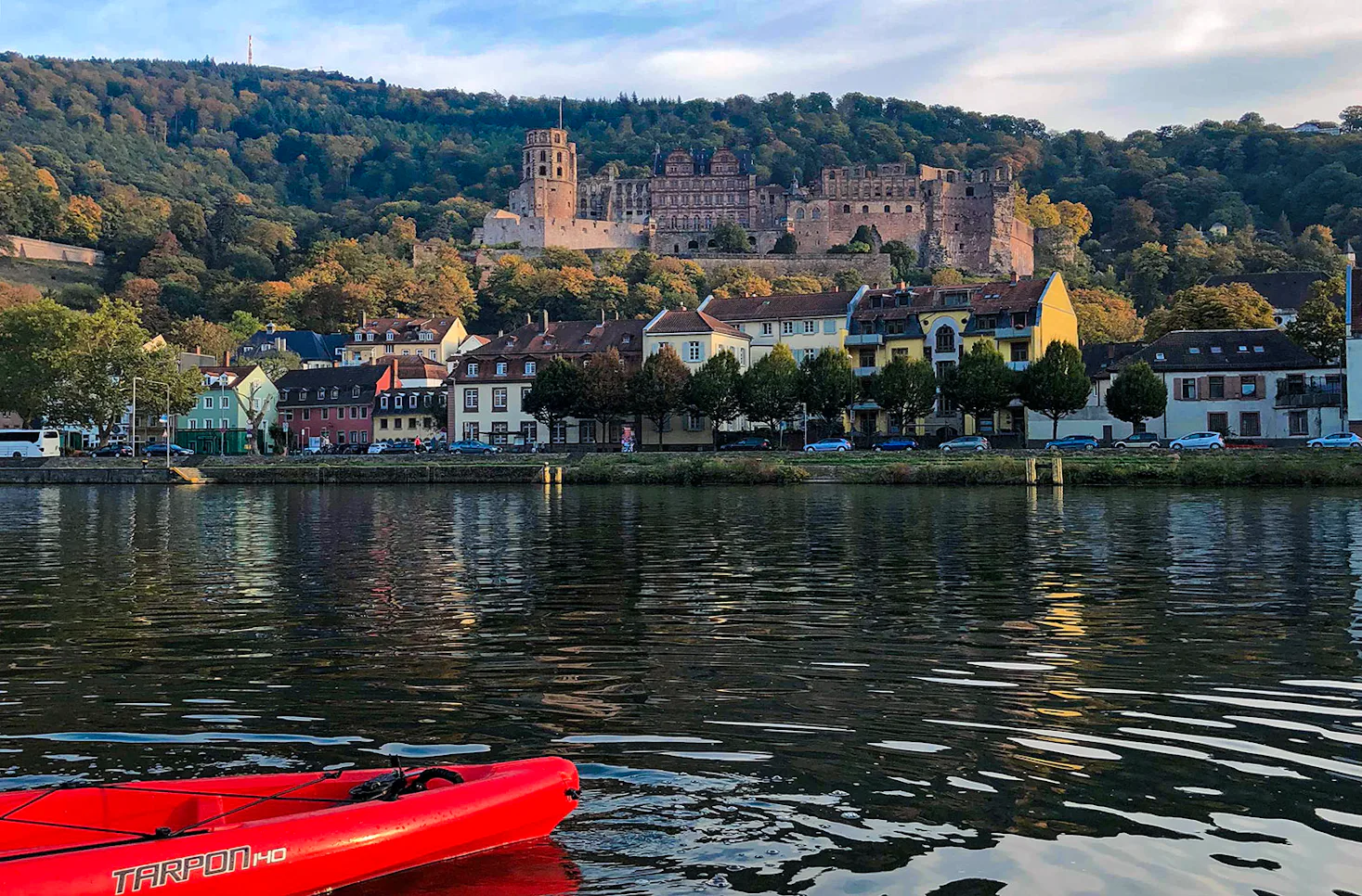 Paddle Tour Heidelberg (2 Std.) - 4