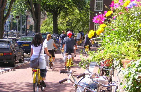 Sightseeing-Radtour durch Amsterdam für 2 - 4