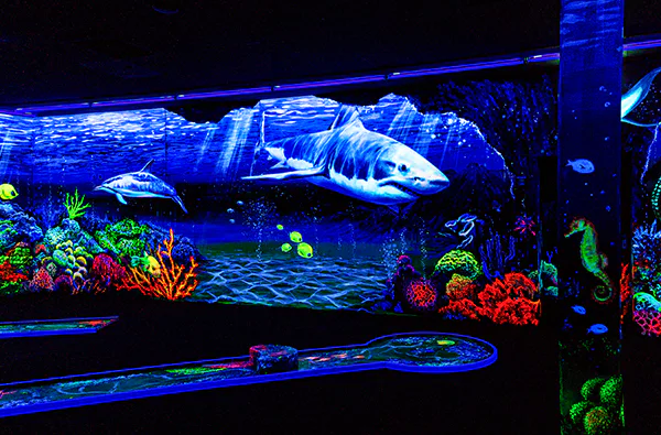 3D Schwarzlicht Minigolf Schwäbisch Gmünd - 5