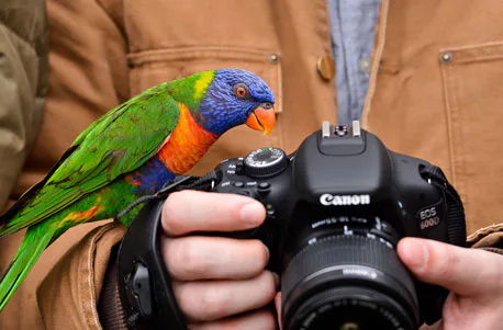 Tierfotografie für Einsteiger im Tierpark - 1