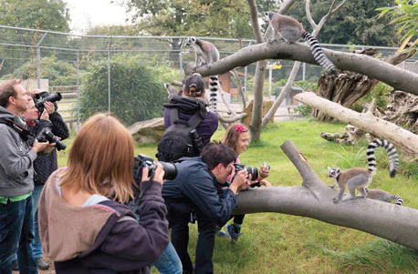 Tierfotografie für Einsteiger im Tierpark - 5
