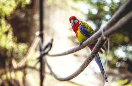 Tierfotografie für Einsteiger im Tierpark - 3