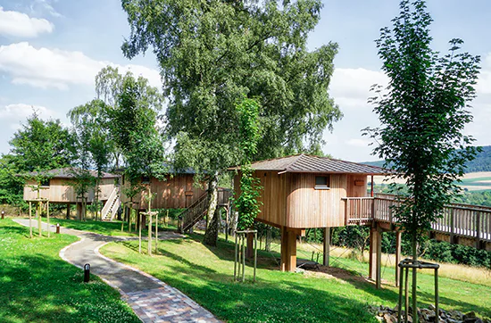 Baumhaus-Übernachtung in Niedersachsen für 2 - 4