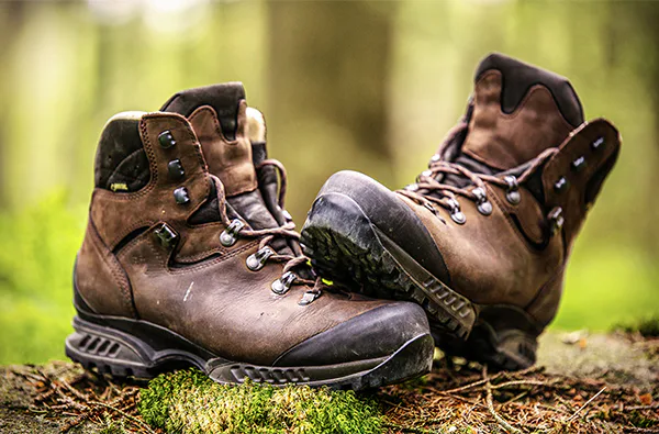 Wandern im Sauerland für 2 (2 Nächte) - 2