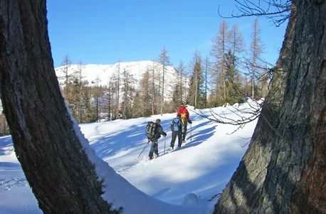 Schneeschuh-Tour auf den Wiener Hausbergen - 4