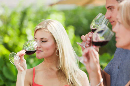 Weinbergwanderung mit Winzer im Ahrtal - 1