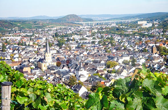 Weinbergwanderung in Bad Neuenahr-Ahrweiler