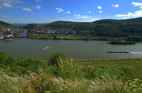 Übernachtung im Weinfass in Rüdesheim für 2 - 6