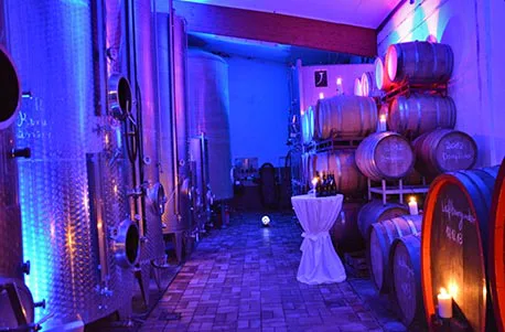 Ein Tag auf dem Weingut mit Übernachtung in der Pfalz für 2 - 8