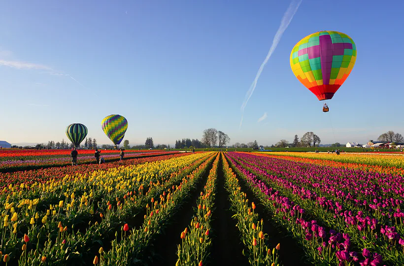 Ballonfahren Norddeutschland