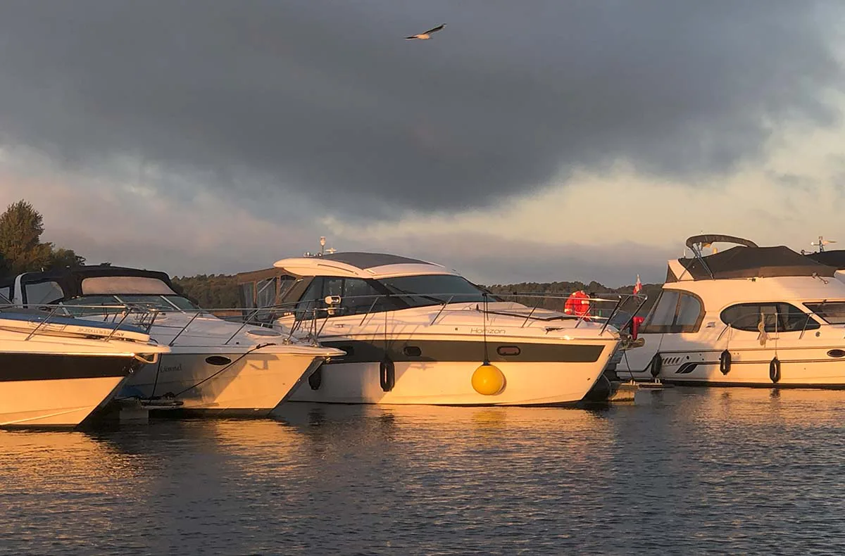 Motoryacht Waren (Family & Friends - 4 Std.) - 3