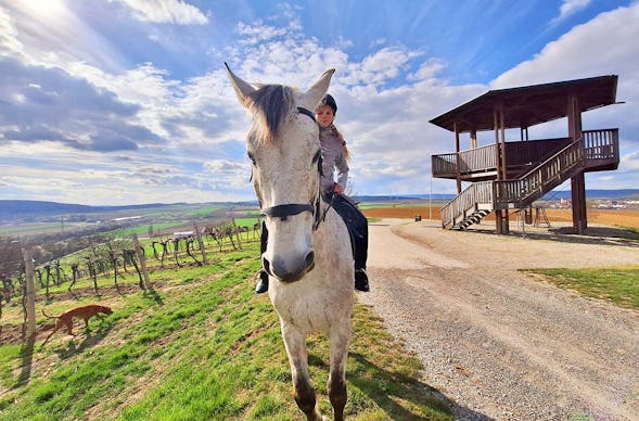 Wanderreiten Kapelln