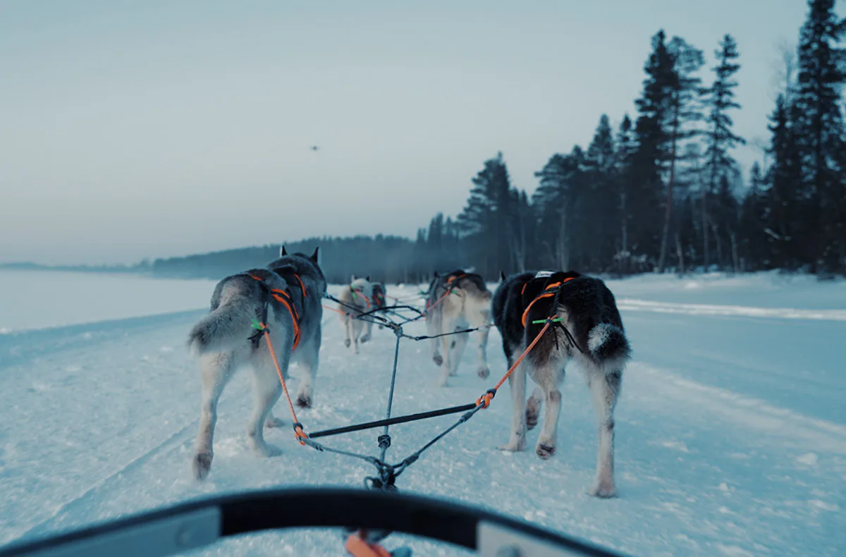 Abenteuerreise Lappland mit Hundeschlitten für 2 (2 Nächte) - 2
