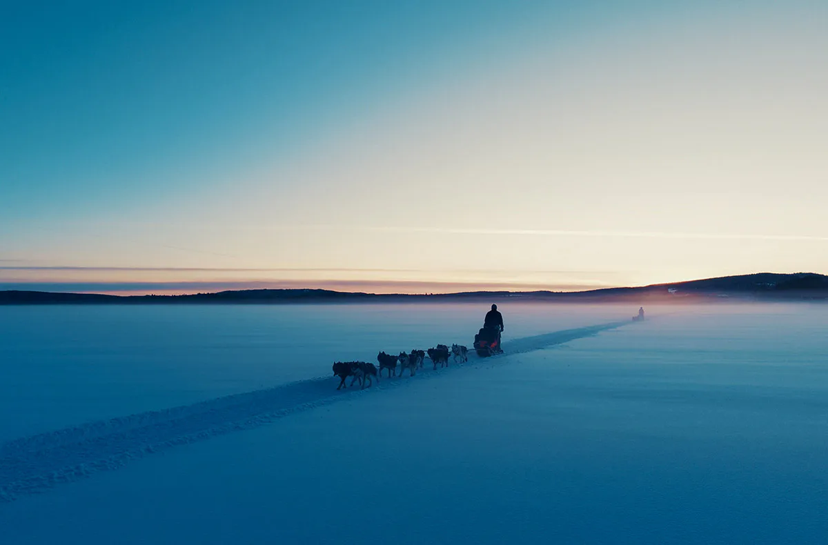 Abenteuerreise Lappland mit Hundeschlitten für 2 (2 Nächte) - 3