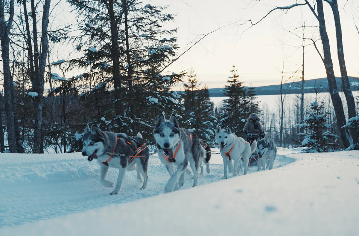 Abenteuerreise Lappland mit Hundeschlitten für 2 (2 Nächte) - 6