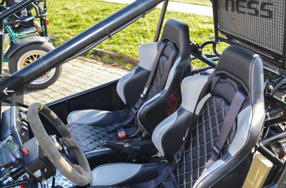 Buggy fahren Zweisitzer Stetten bei Meersburg (3 Std.) - 4