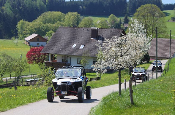 Side by Side Buggy Schwarzwald-Tour Meißenheim (5 Std.)