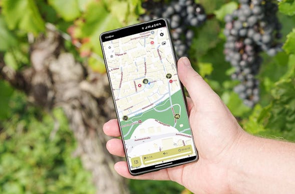 Digitale Weinwanderung