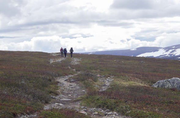 Erlebnisreise Expeditionstrekking in Nordschweden (9 Nächte)