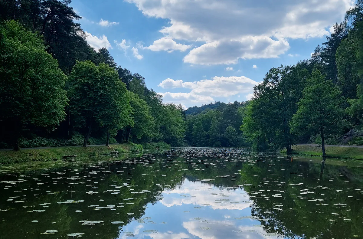 Eselwanderung Eppenbrunn (2 Std.) - 3