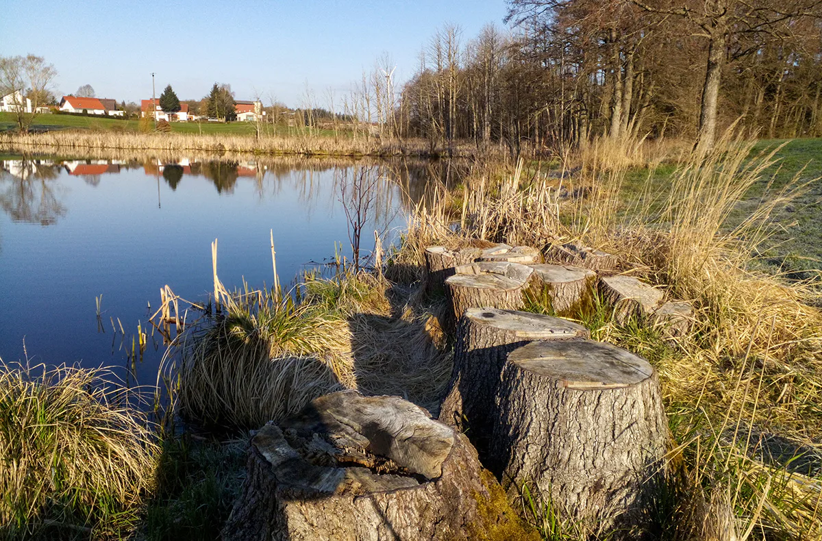 Eselwanderung für 2 Fichtenau - 4