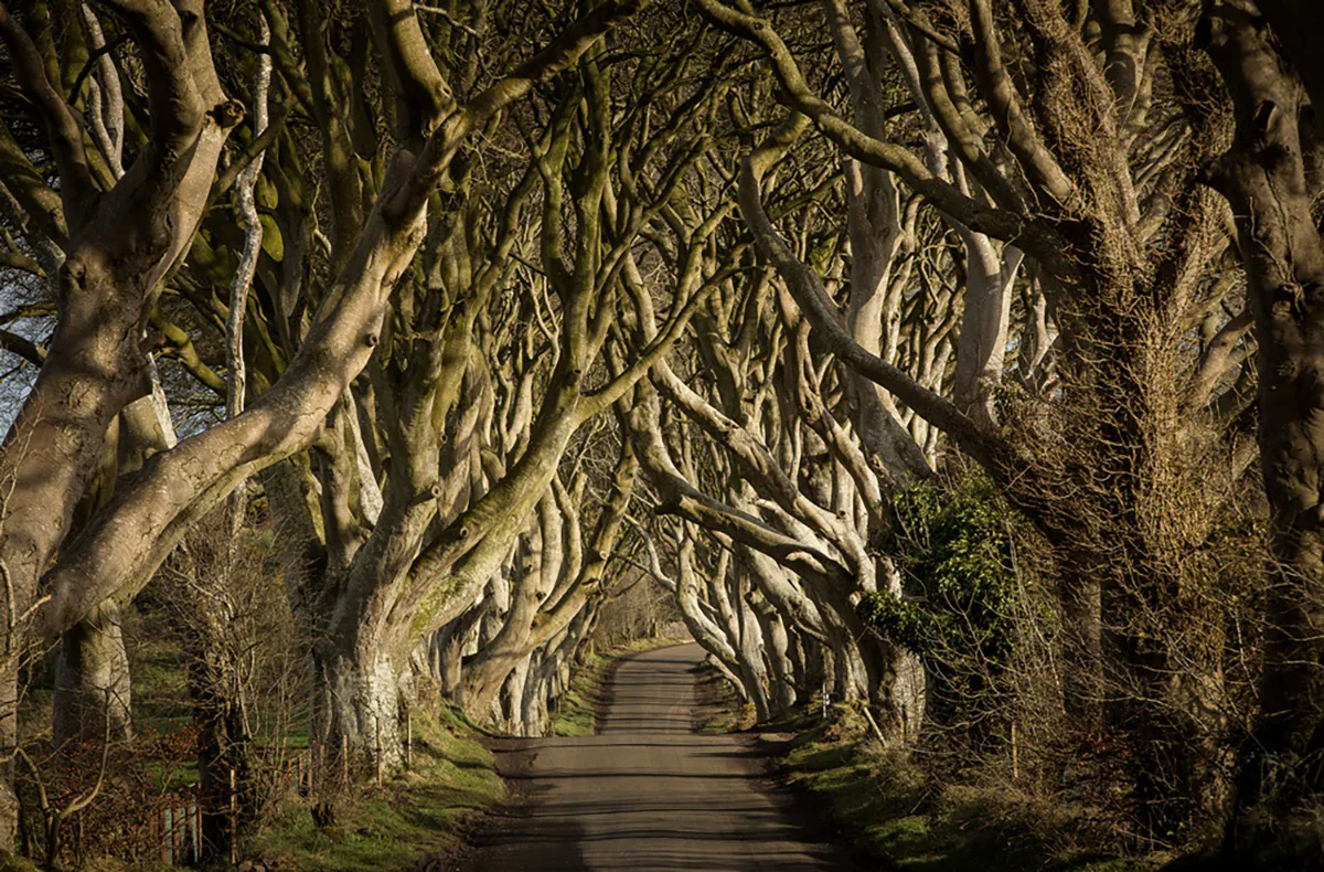 Game of Thrones Filmreise Irland (2 Nächte) - 3