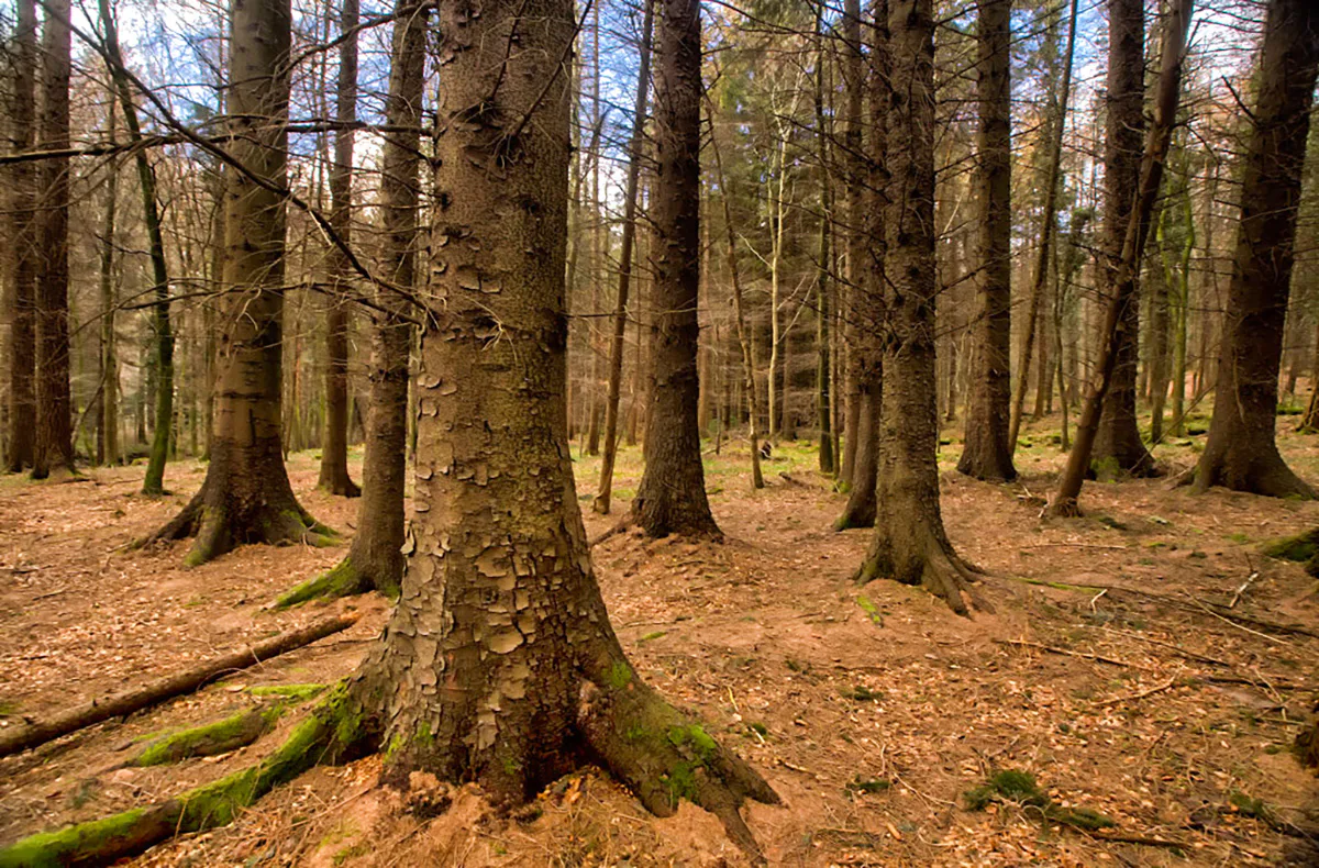 Game of Thrones Filmreise Irland (2 Nächte) - 6