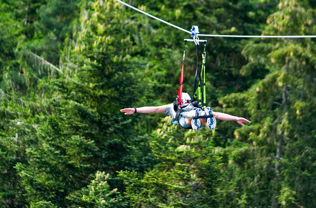 Flying Fox Schwarzwald für 2 Schömberg - 1