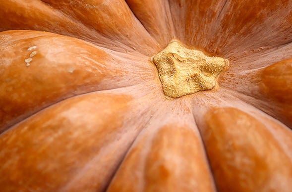 Fotokurs Hamburg (Einzelcoaching)